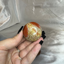 Load image into Gallery viewer, Rainbow Petrified Wood Palmstone
