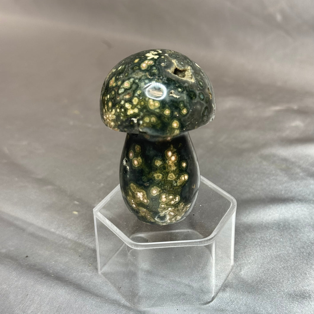 Orbicular Ocean Jasper Mushroom