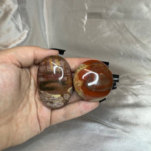 Load image into Gallery viewer, Rainbow Petrified Wood Palmstone
