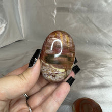Load image into Gallery viewer, Rainbow Petrified Wood Palmstone
