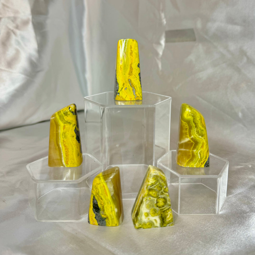 Bumble Bee Jasper Freeforms